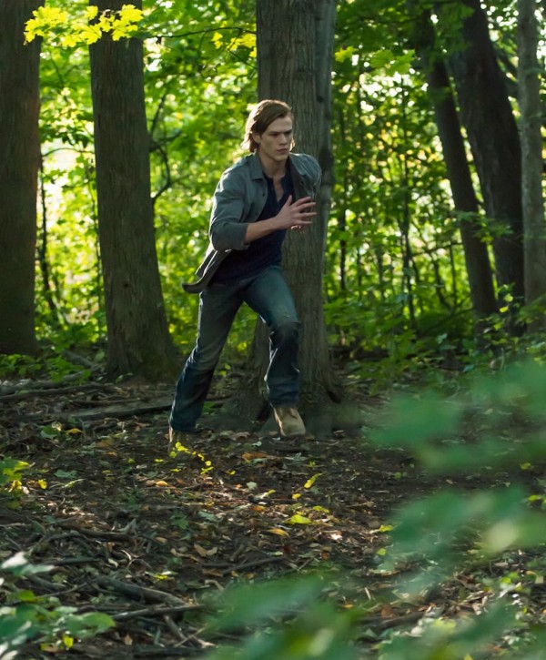 wolvesstills (3)